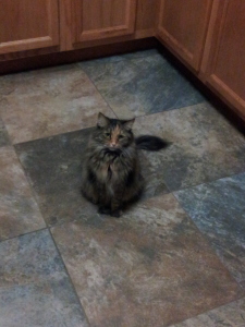 she almost blends into the kitchen floor