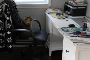 Kittypants say "hey ma, maybe if you cleaned off your desk we could get some work done!"