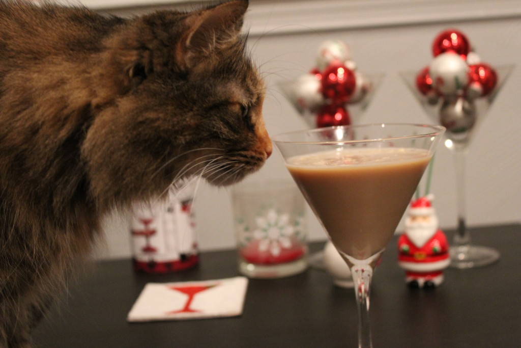 Elvira kittypants  photobombed my martini pic