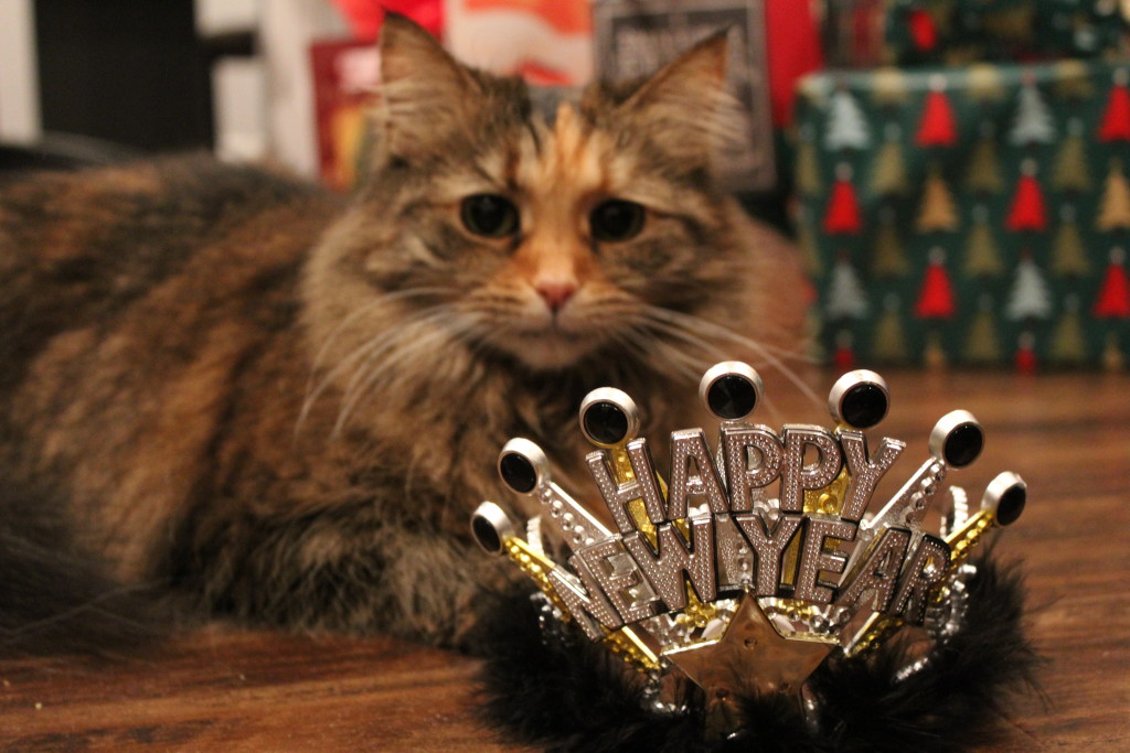 Elvira kittypants wants to wish you a safe and happy new year!