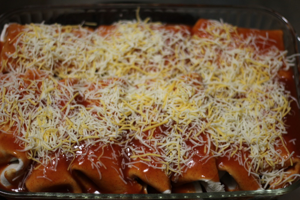 chicken enchilada's