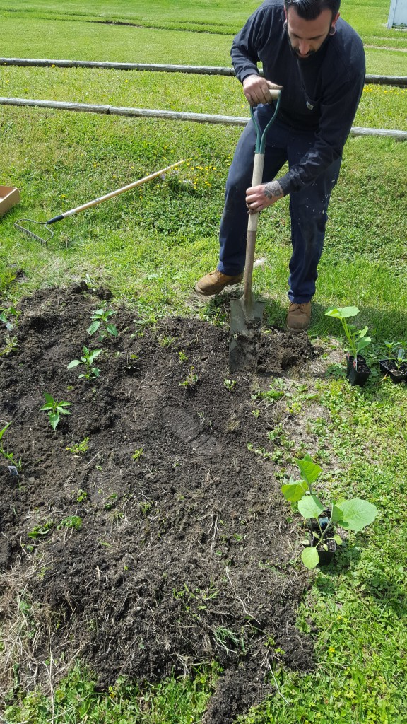 Mikey planting the garden