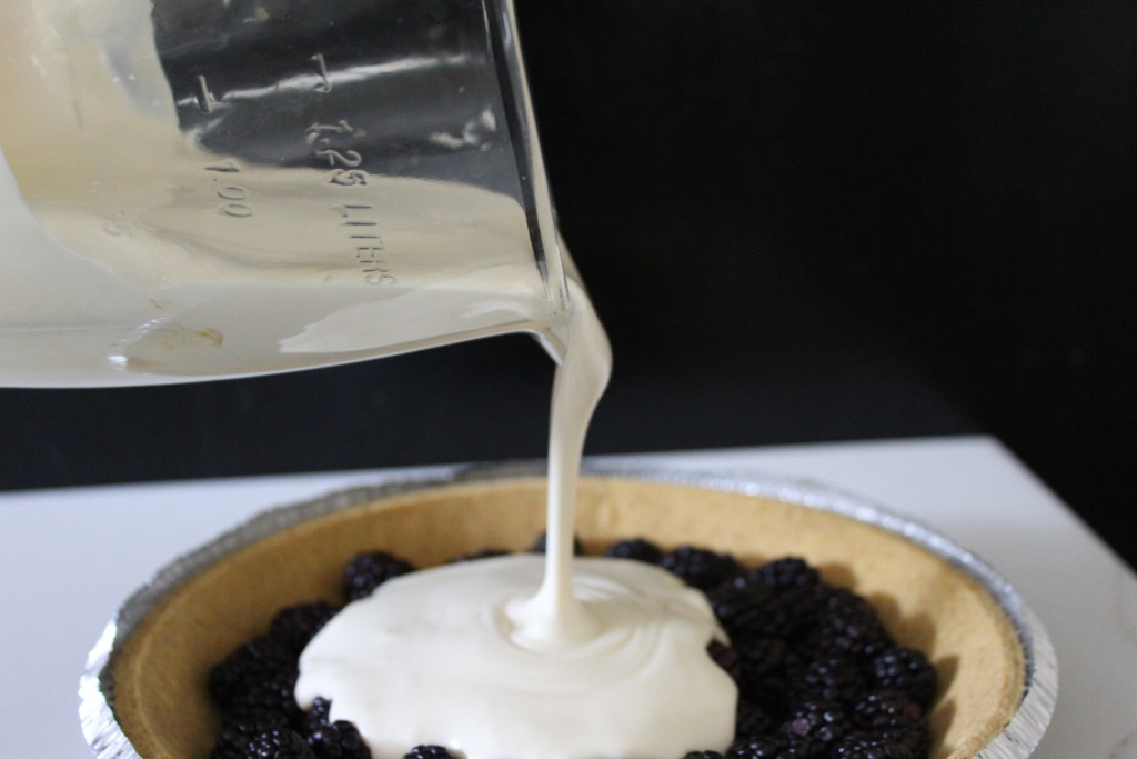 blackberry cheesecake tart