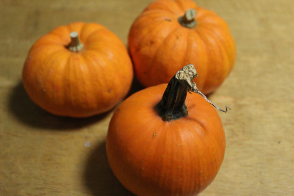 baby pumpkins